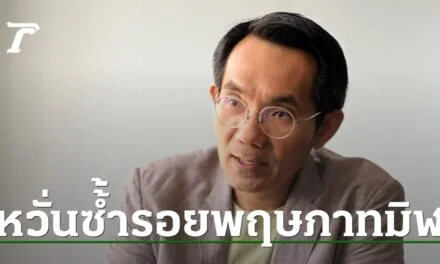 “นักวิชาการ” สะกิด “เพื่อไทย” คิดให้ดี ก่อนจับมือพรรคลุงตั้ง รบ.